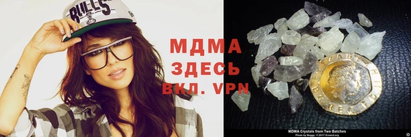молекула духа Богданович