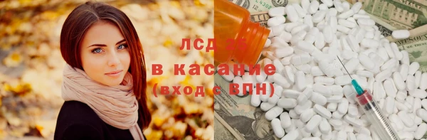 молекула духа Богданович