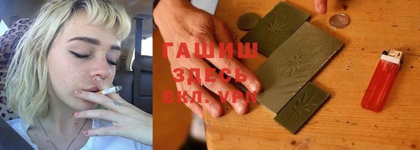 молекула духа Богданович