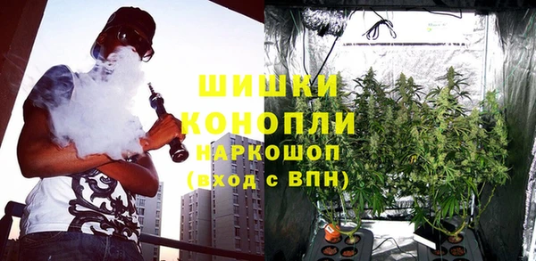молекула духа Богданович