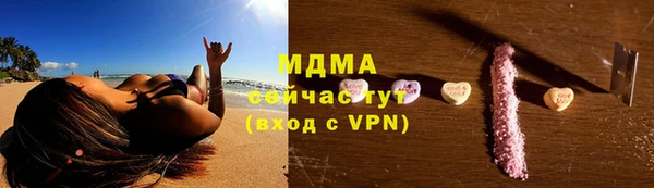 молекула духа Богданович