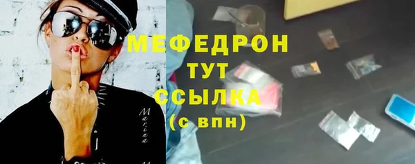 молекула духа Богданович