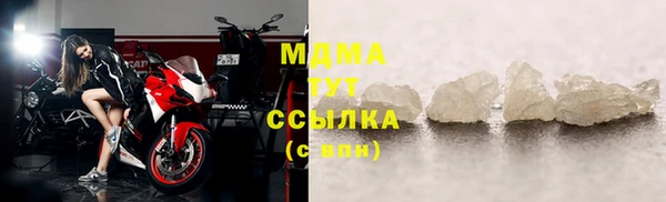 молекула духа Богданович