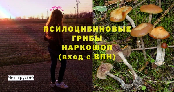 кокс Богородск