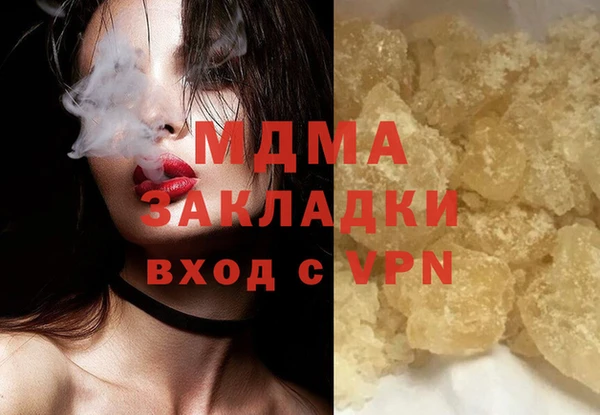 молекула духа Богданович
