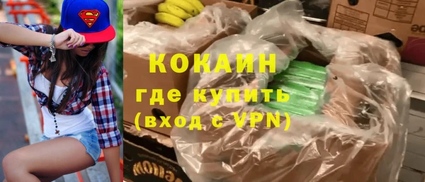 молекула духа Богданович