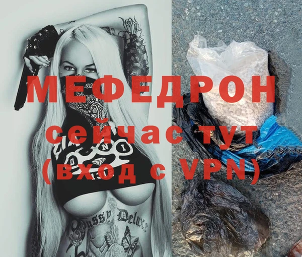 молекула духа Богданович