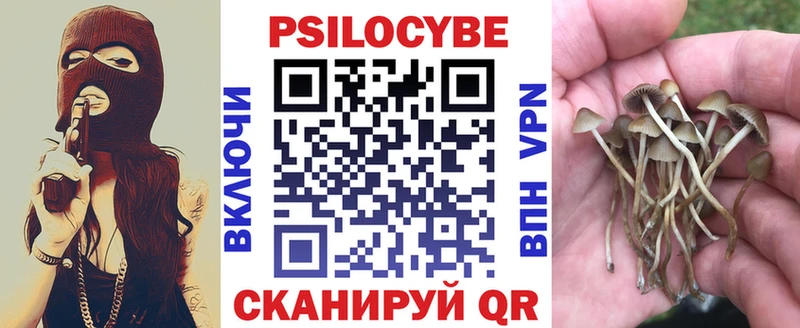 Галлюциногенные грибы Cubensis Михайловка