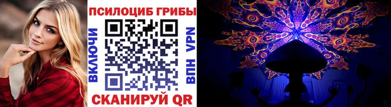 Купить  Михайловка  Галлюциногенные грибы Cubensis 